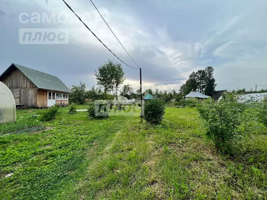 Участок в Ленинградская область, Тосненский район, Рябовское городское ... - Фото 0