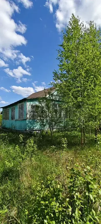 Дача 50 м на участке 6 сот. - Фото 0