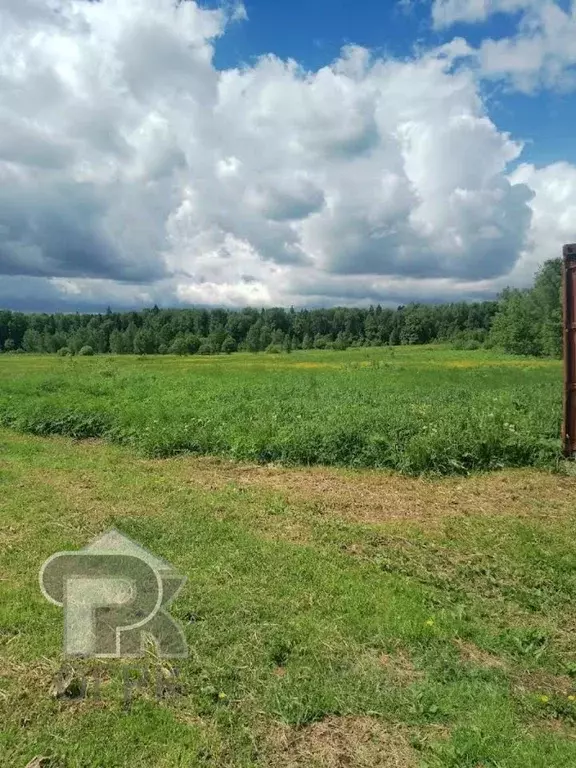 Участок в Московская область, Пушкинский городской округ, д. ... - Фото 1