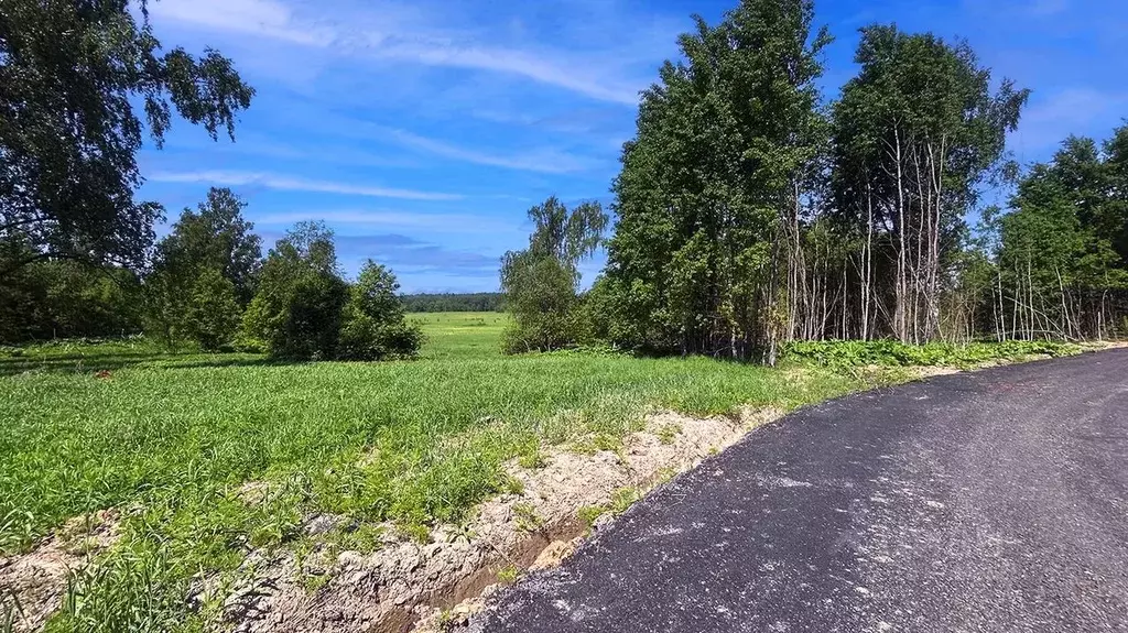 Участок в Московская область, Домодедово городской округ, пос. ... - Фото 2