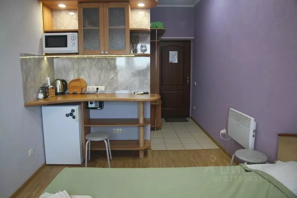 1-к кв. Севастополь ул. Челюскинцев, 49/3 (20.0 м) - Фото 1