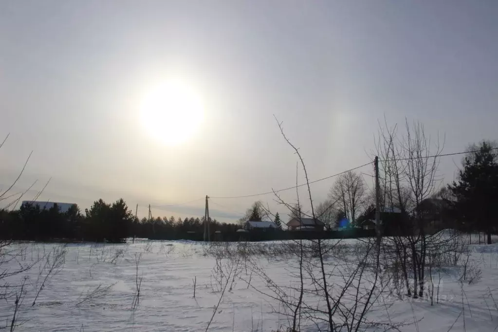 Участок в Московская область, Шаховская муниципальный округ, д. Косово ... - Фото 2