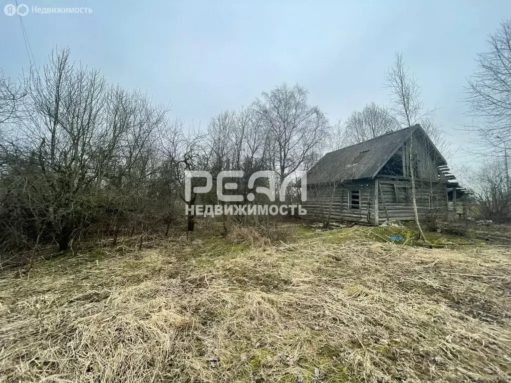 Участок в Волосовский район, Бегуницкое сельское поселение, деревня ... - Фото 1