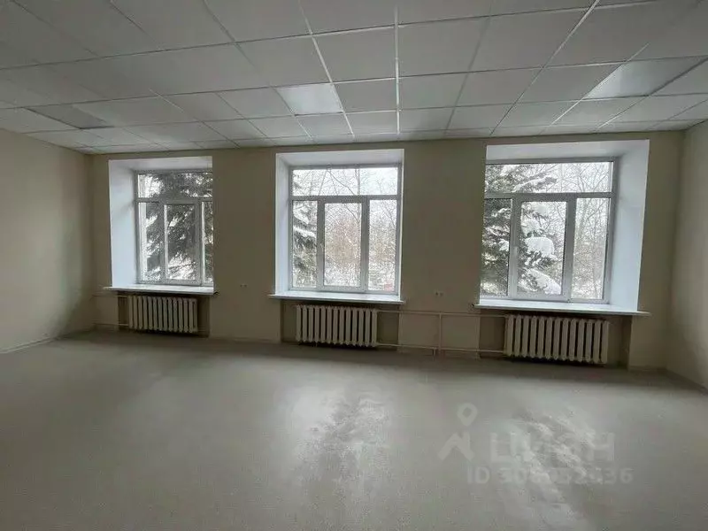 Офис в Нижегородская область, Нижний Новгород ул. Чаадаева, 5 (49 м) - Фото 0