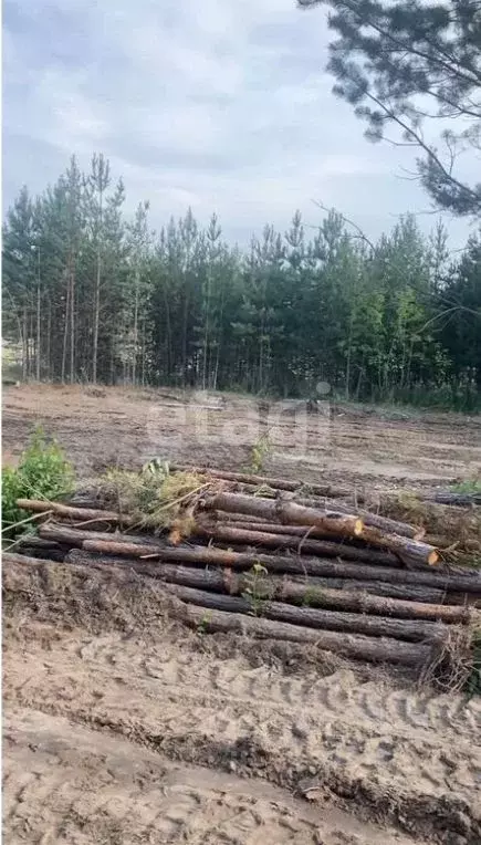 Участок в Свердловская область, Талица ул. Таежная, 43 (10.0 сот.) - Фото 2