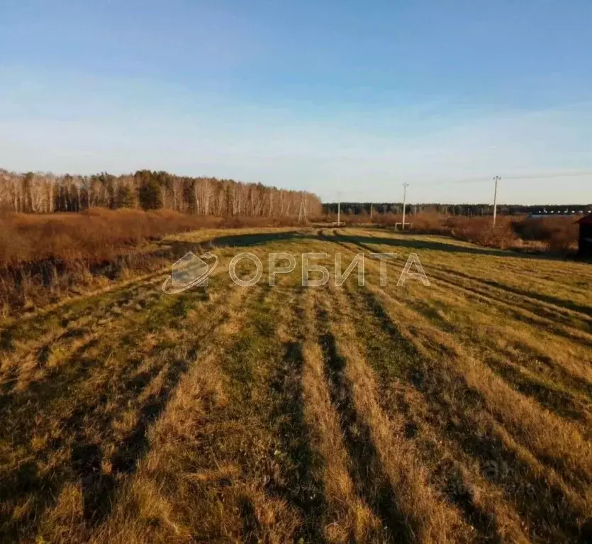 Участок в Тюменская область, Тюменский район, с. Онохино Набережная ... - Фото 1