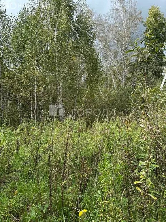 Участок в Новосибирск, улица Полякова, 11 (10 м) - Фото 1