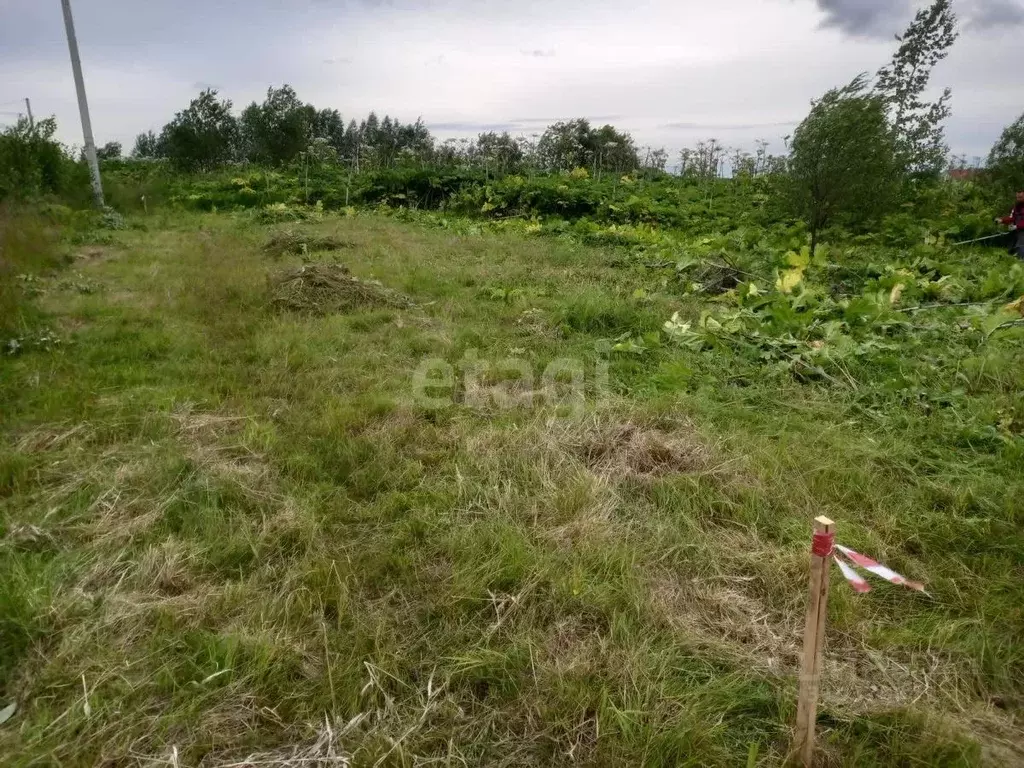 Участок в Коми, Сыктывдинский район, с. Выльгорт ул. Хвойная (8.7 ... - Фото 2