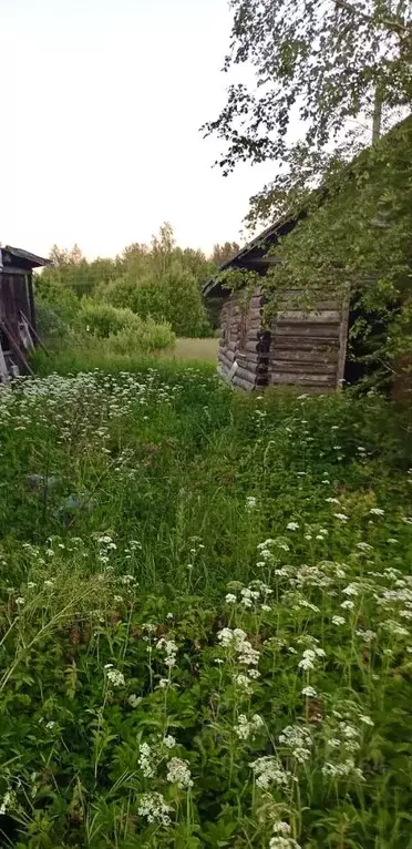 Дом в Ленинградская область, Лужский район, Толмачевское городское ... - Фото 1