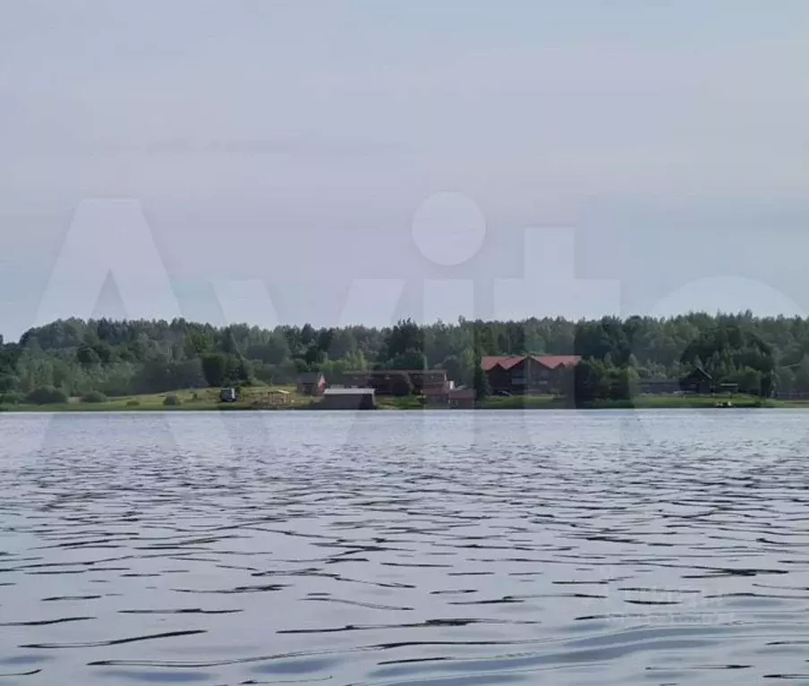 Участок в Новгородская область, Валдайский район, Ивантеевское с/пос, ... - Фото 1