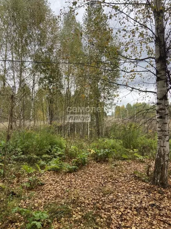 Участок в Нижегородская область, Чкаловск муниципальный округ, д. ... - Фото 1