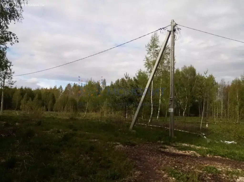 Участок в Нижегородская область, Городецкий муниципальный округ, ... - Фото 1