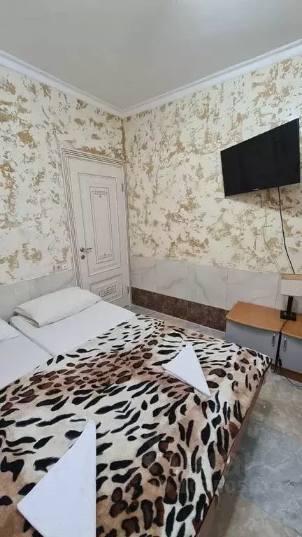 Комната Краснодарский край, Сочи Адлер жилрайон, ул. Панфилова, 12 - Фото 1