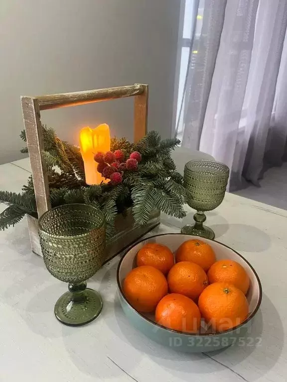 1-к кв. Московская область, Звенигород Одинцовский городской округ, ... - Фото 2