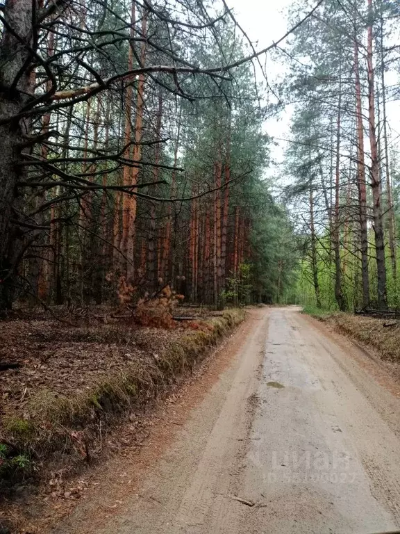 Дом в Пензенская область, Пенза Домостроитель садовое дачное ... - Фото 1