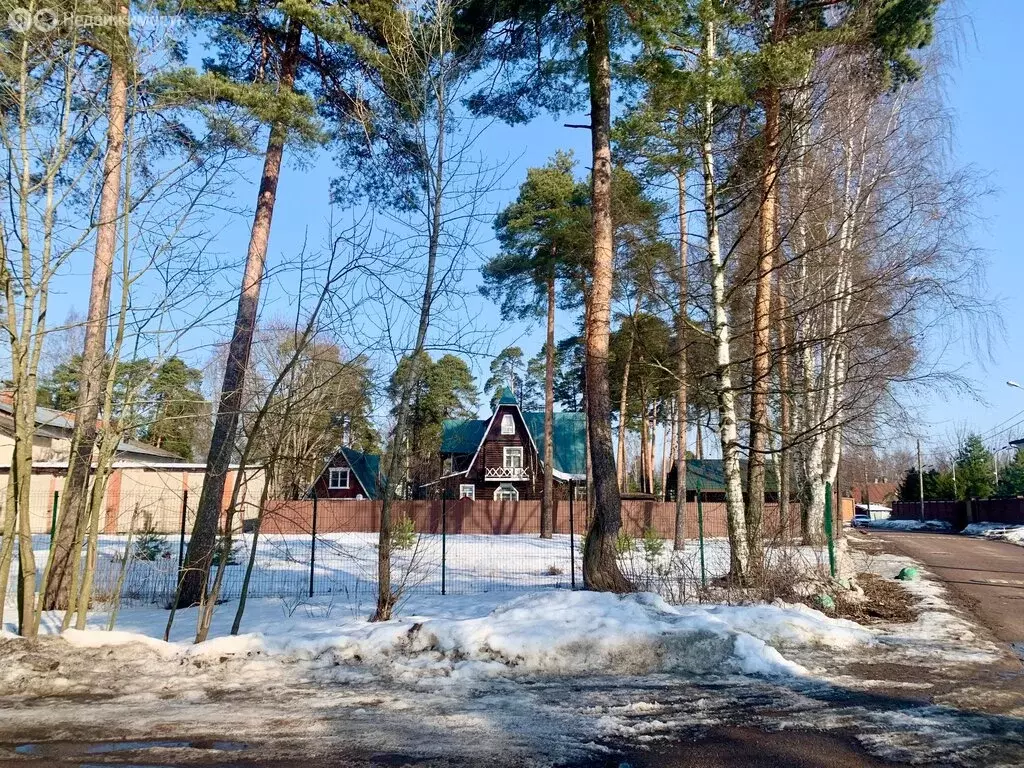 Участок в Санкт-Петербург, Хвойная улица, 13-15В (16.59 м) - Фото 2