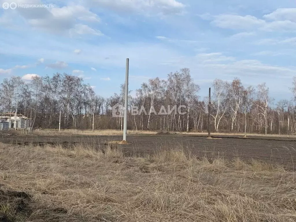 Участок в Воронеж, Совхозная улица (8 м) - Фото 2