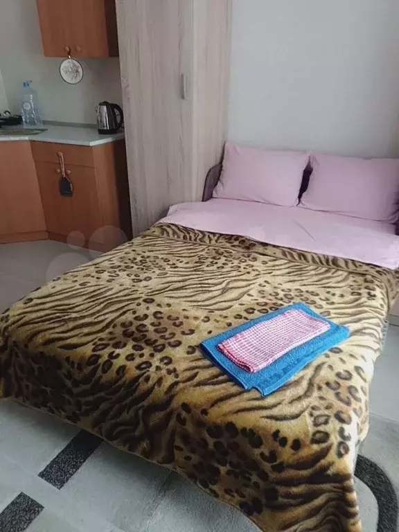Квартира-студия, 19,8 м, 4/22 эт. - Фото 0