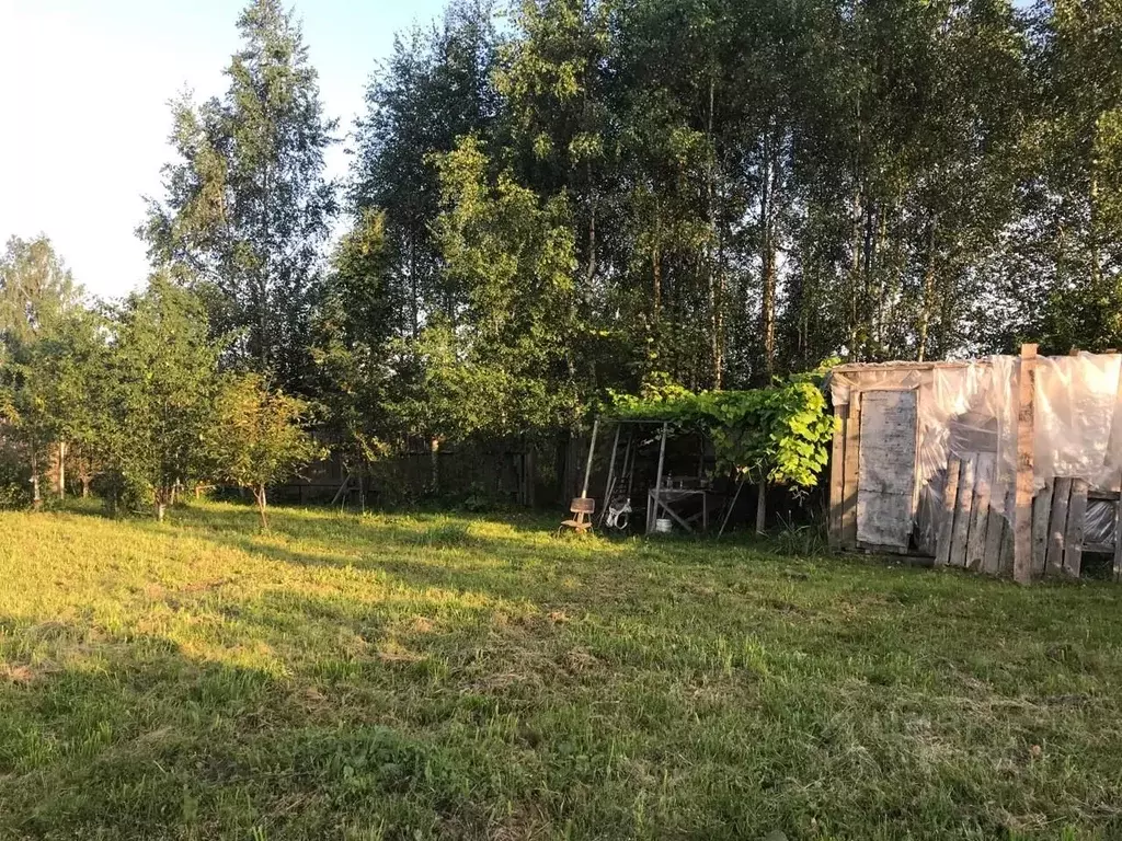 Участок в Смоленская область, Смоленский муниципальный округ, Восход ... - Фото 2