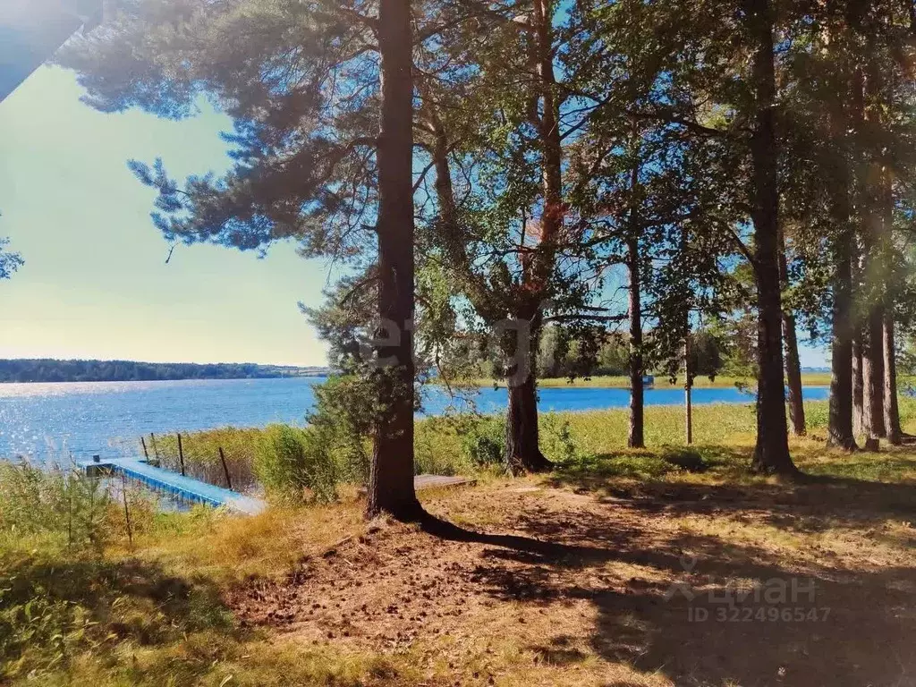 Помещение свободного назначения в Вологодская область, Вытегорский ... - Фото 2
