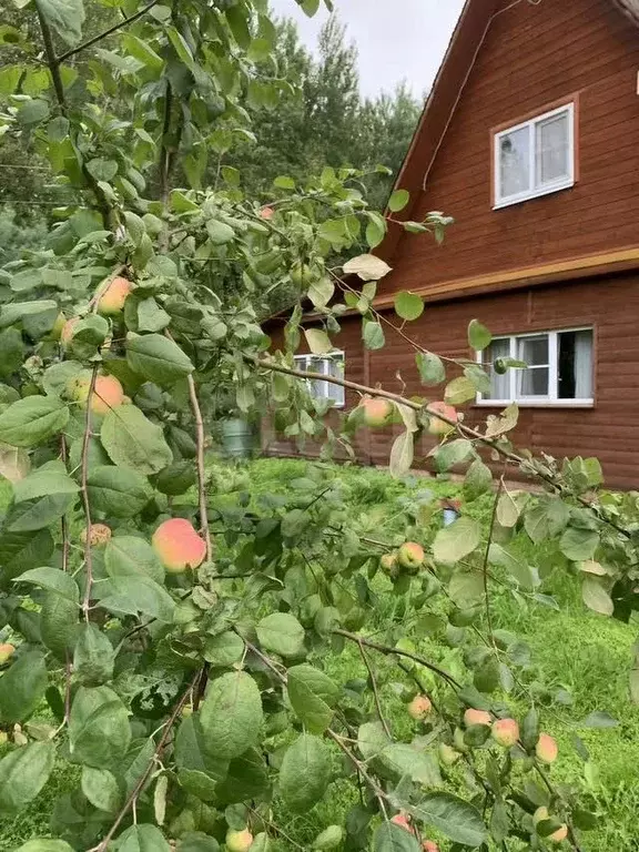 Дом в Вологодская область, Электрон садоводческое товарищество  (110 ... - Фото 2