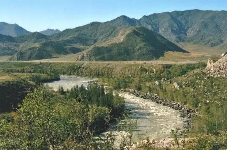 Участок в Алтай, Онгудайский район, с. Купчегень Средняя ул. (3.6 ... - Фото 2