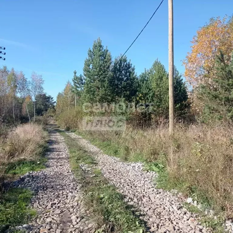 Участок в Свердловская область, Белоярский муниципальный округ, пос. ... - Фото 1