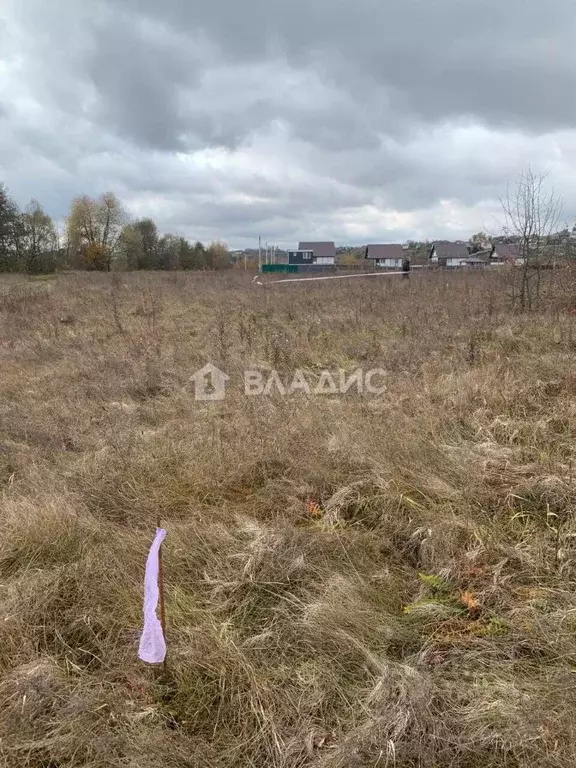 Участок в Воронежская область, Рамонский район, с. Березово  (35.0 ... - Фото 2