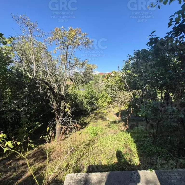 Участок в Краснодарский край, Сочи пос. Мамайский Перевал, ул. ... - Фото 2