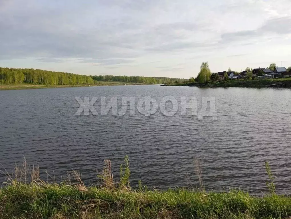 Дом в Новосибирская область, Мошковский район, с. Барлак Береговая ул. ... - Фото 2