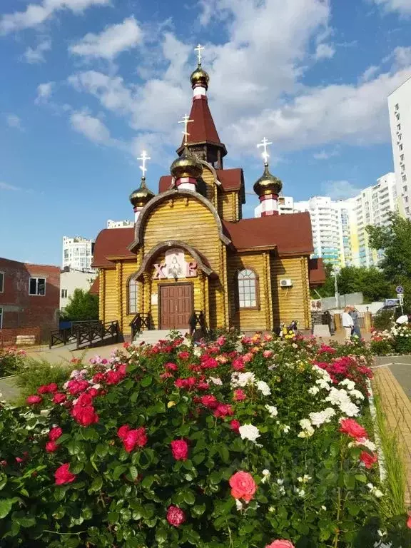 1-к кв. Самарская область, Самара ул. Карла Либкнехта, 6 (50.0 м) - Фото 0