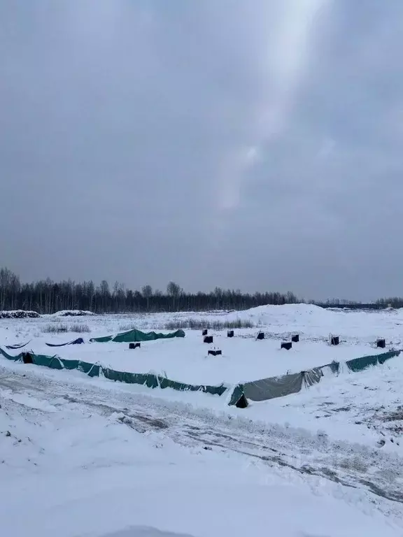 Производственное помещение в Санкт-Петербург 6-й Предпортовый проезд, ... - Фото 1
