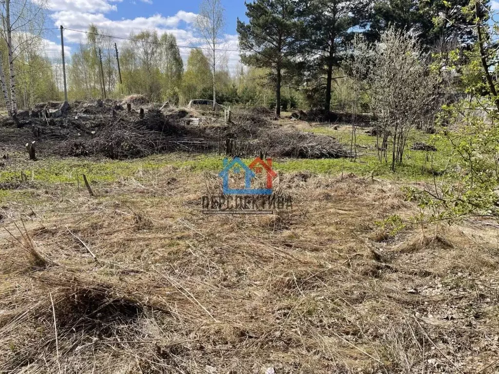 Участок в Тюменская область, Тобольск Панин Бугор тер, ул. Кедровая .,  Купить земельный участок в Тобольске, ID объекта - 20006420562