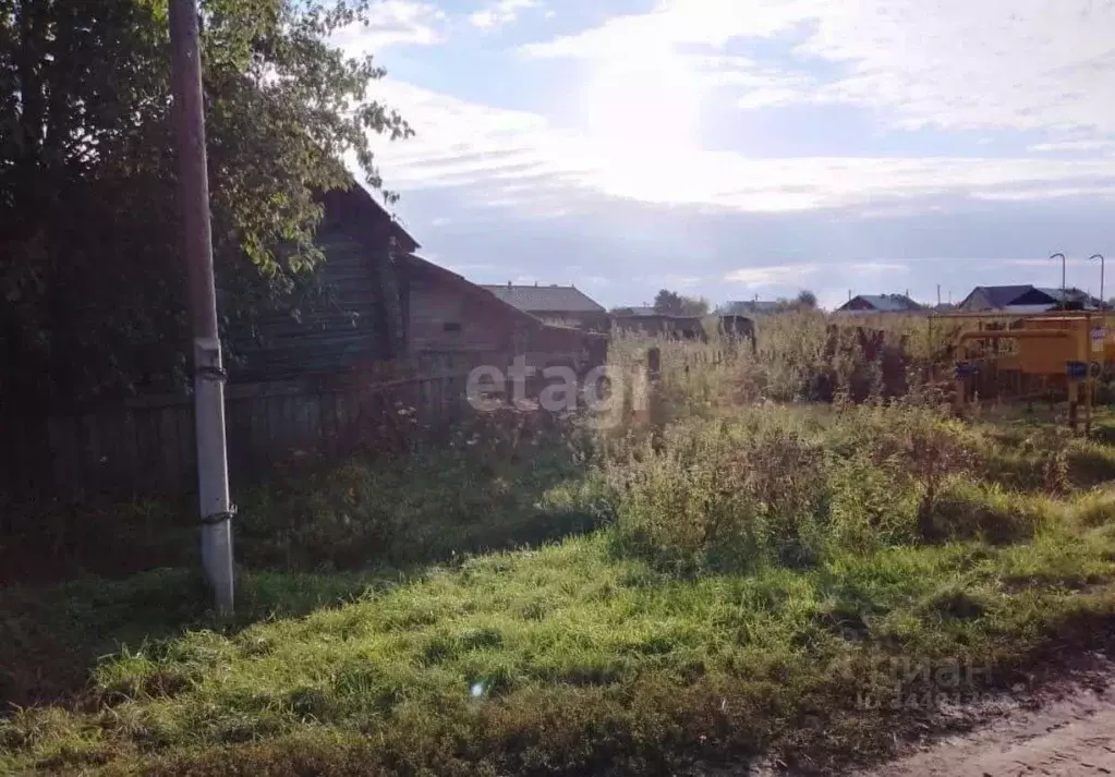 Участок в Тюменская область, Абатский район, с. Быструха Центральная ... - Фото 0