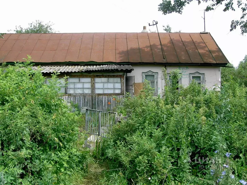 Погода березняги скопинский рязанская область