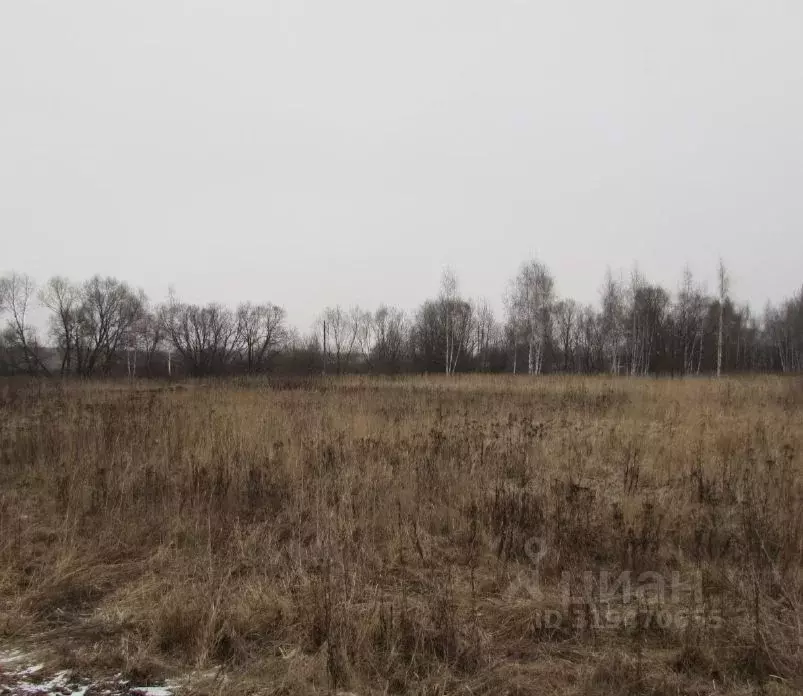 Участок в Московская область, Коломна городской округ, д. Жиливо  ... - Фото 0