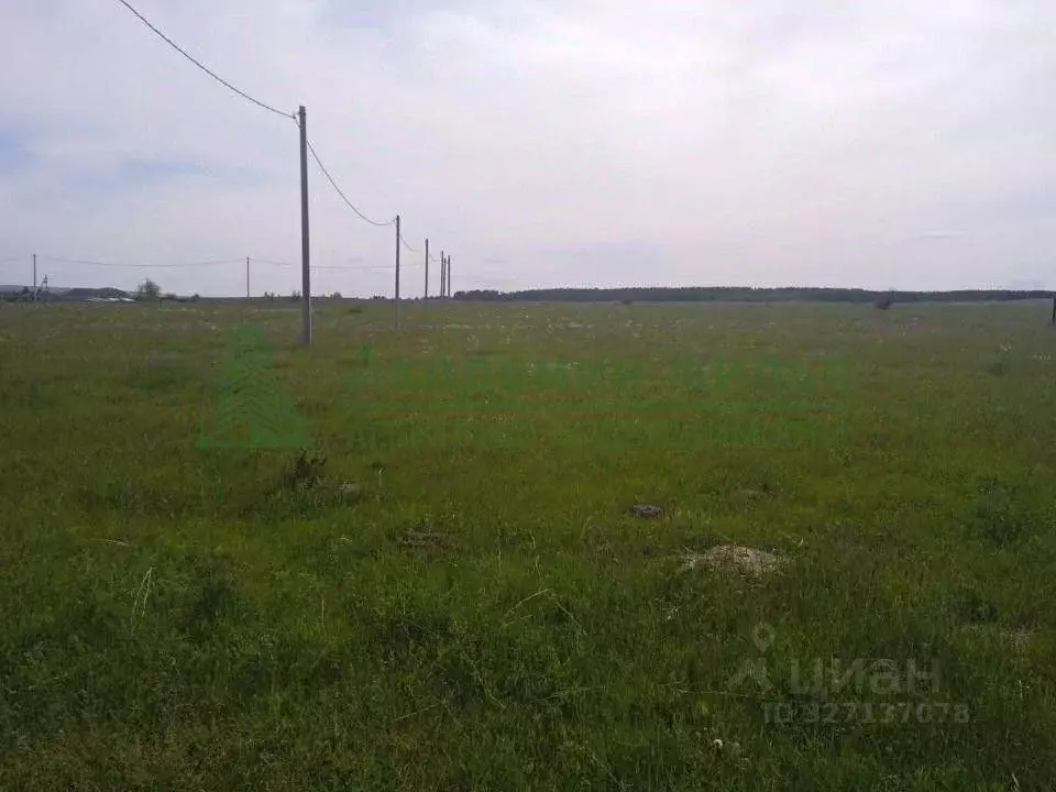 Участок в Саратовская область, Воскресенский район, Елшанское ... - Фото 2