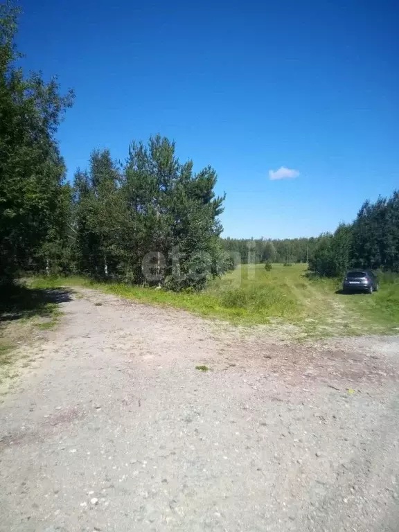 Участок в Свердловская область, Ревда муниципальный округ, с. ... - Фото 1
