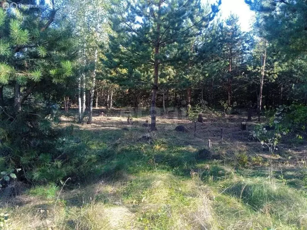 Участок в посёлок Подлесный, улица Голомазова (10 м) - Фото 1