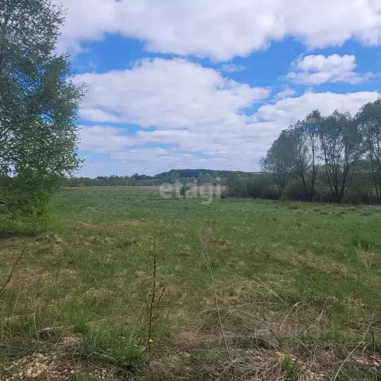 Участок в Владимирская область, Муромский район, Ковардицкое ... - Фото 1