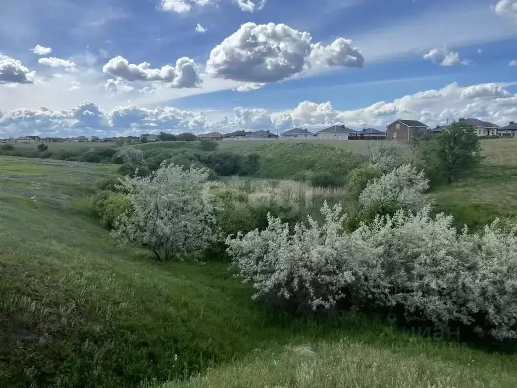Участок в Саратовская область, Энгельсский район, Красноярское ... - Фото 1