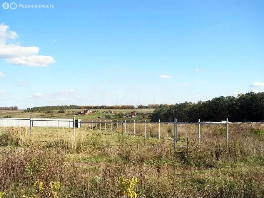 Участок в Тульская область, городской округ Тула, деревня Малёвка (5.2 ... - Фото 2
