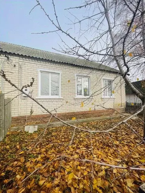 Дом в Белгородская область, Алексеевский муниципальный округ, с. ... - Фото 1