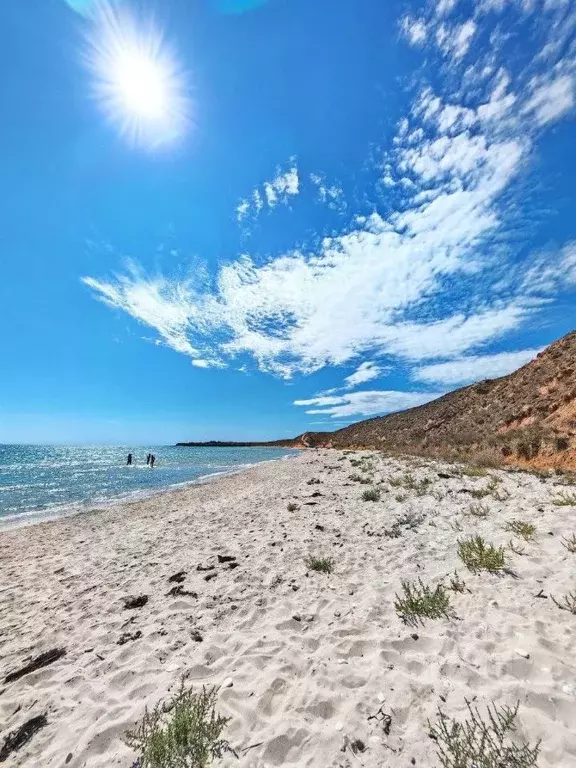 Участок в Крым, Сакский район, Молочненское с/пос, с. Витино  (10.0 ... - Фото 1