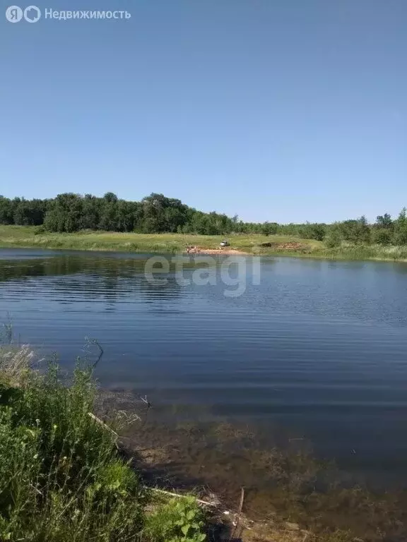 участок в красноармейский район, сельское поселение колывань, днт . - Фото 1