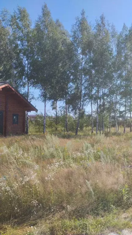 Участок в Московская область, Богородский городской округ, д. Боково, ... - Фото 1