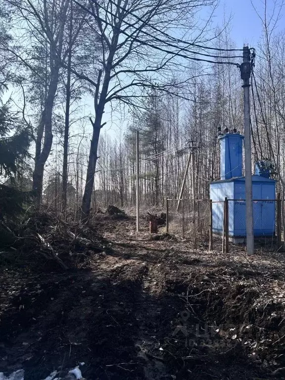 Участок в Ленинградская область, Всеволожский район, Колтушское ... - Фото 2