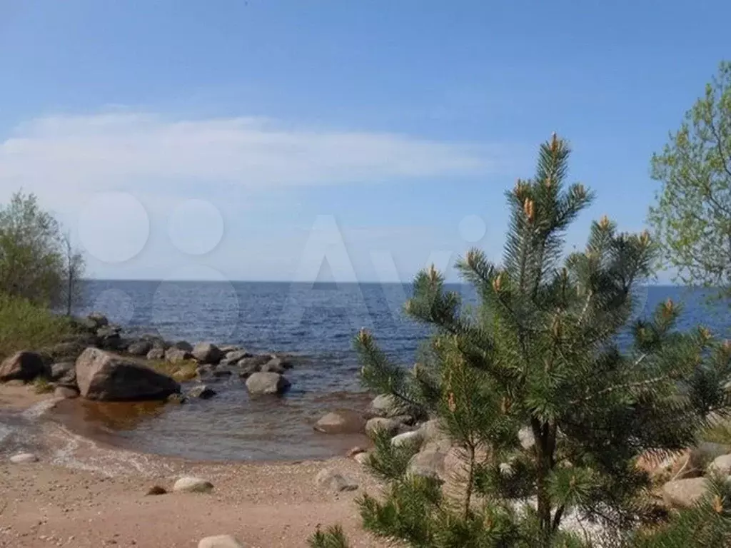 Купить Участок В Гдовском Районе Псковской