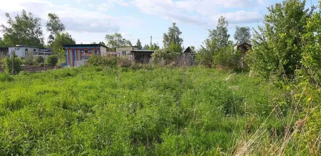 Участок в Хабаровский край, Хабаровский район, Собственников ... - Фото 1