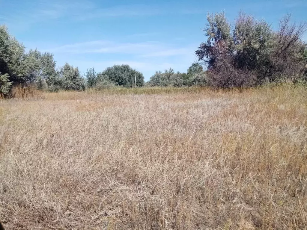 Участок в Волгоградская область, Среднеахтубинский район, Красное ... - Фото 1